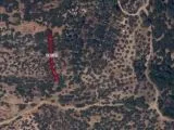 ÇANAKKALE AYVACIK ARIKLI DA YATIRIMLIK ZEYTİNLİK