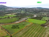 ÇANAKKALE AYVACIK PAŞAKÖYDE SATILIK CEVİZLİK